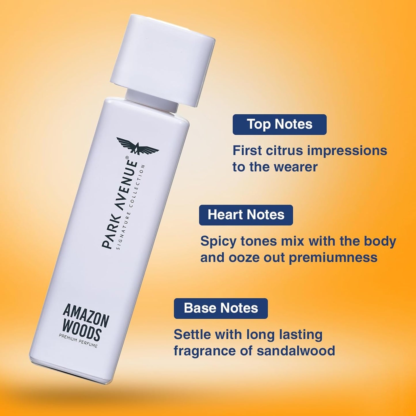 Park Avenue Voyage Signature Collection Perfume for Men 120ml | Long Lasting Amazon Woods Fresh Fragrance