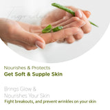 Astaberry Aloe Vera Gel - Skin Healing Gel Face & Body | Sun & Pollution Damages | Reduces acne | blemishes & scars | Unclogs the pores| 100 ml