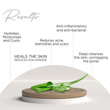 Astaberry Aloe Vera Gel - Skin Healing Gel Face & Body | Sun & Pollution Damages | Reduces acne | blemishes & scars | Unclogs the pores| 100 ml