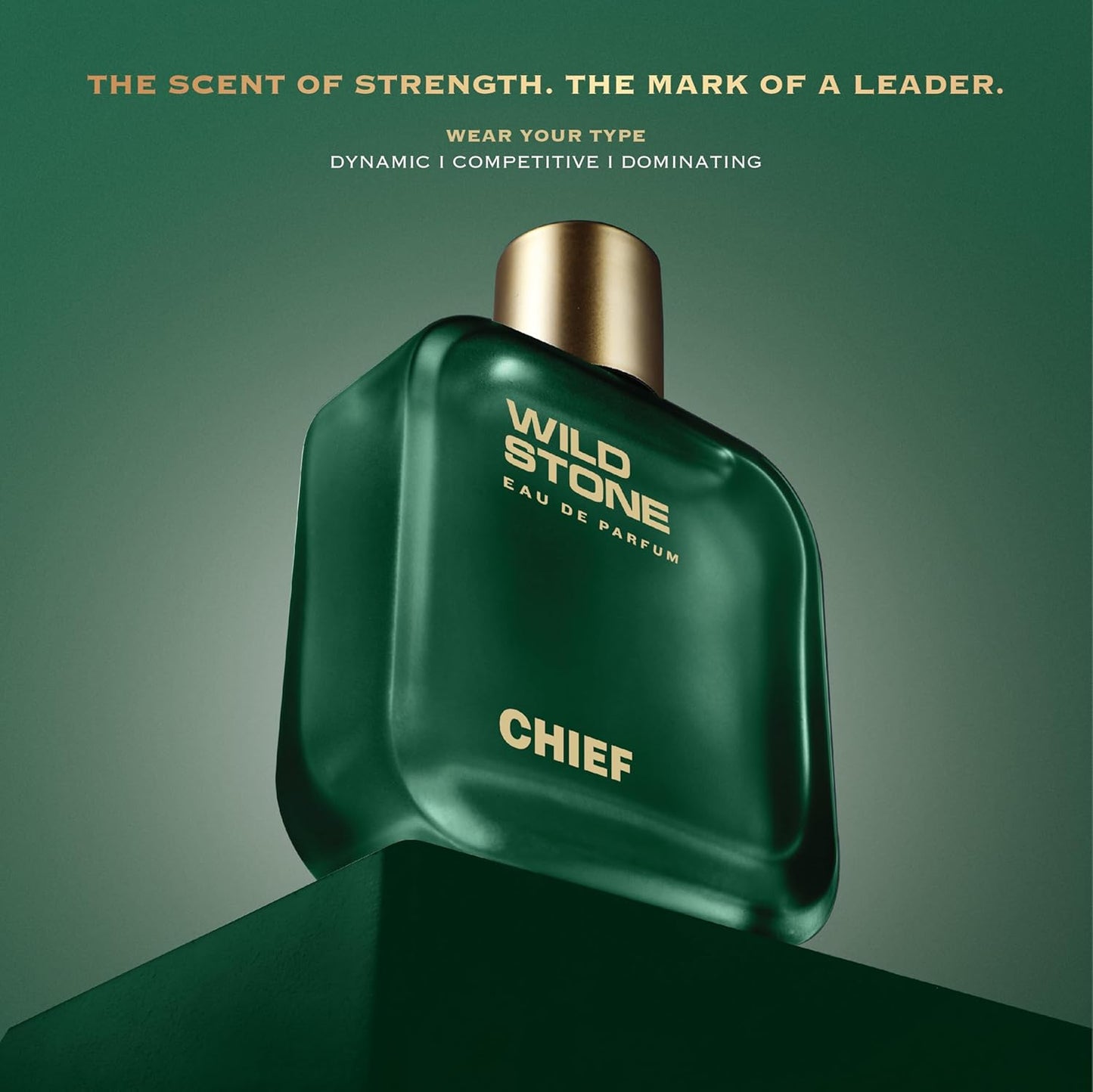 Wild Stone Chief Perfume for Men, 100ml