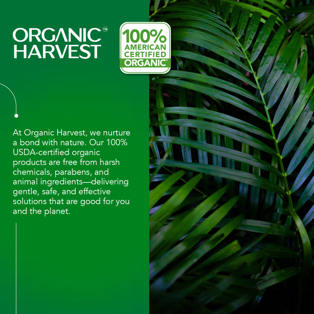 Organic Extra Virgin Coconut Hair Oil (with Flip Top Bottle) : 100% Pure | Cold Pressed Coconut Oil for Hair | Improves Hair & Hydrates (200ml)