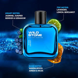 Wild Stone Hydra Energy Eau De Perfume for Men, 100ml