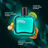 Wild Stone Edge Eau De Parfum for Men, 100ml