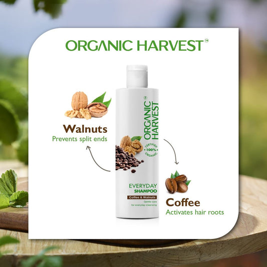 Organic Harvest Everyday Shampoo: Coffee & Walnuts - 250ml