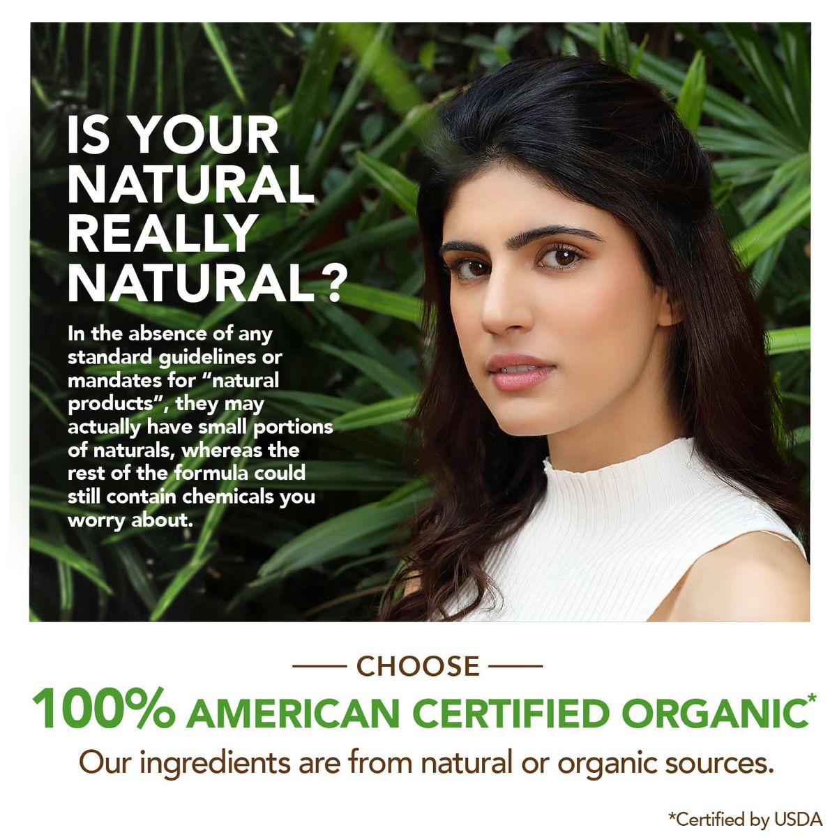 Organic Harvest Everyday Shampoo: Coffee & Walnuts - 250ml