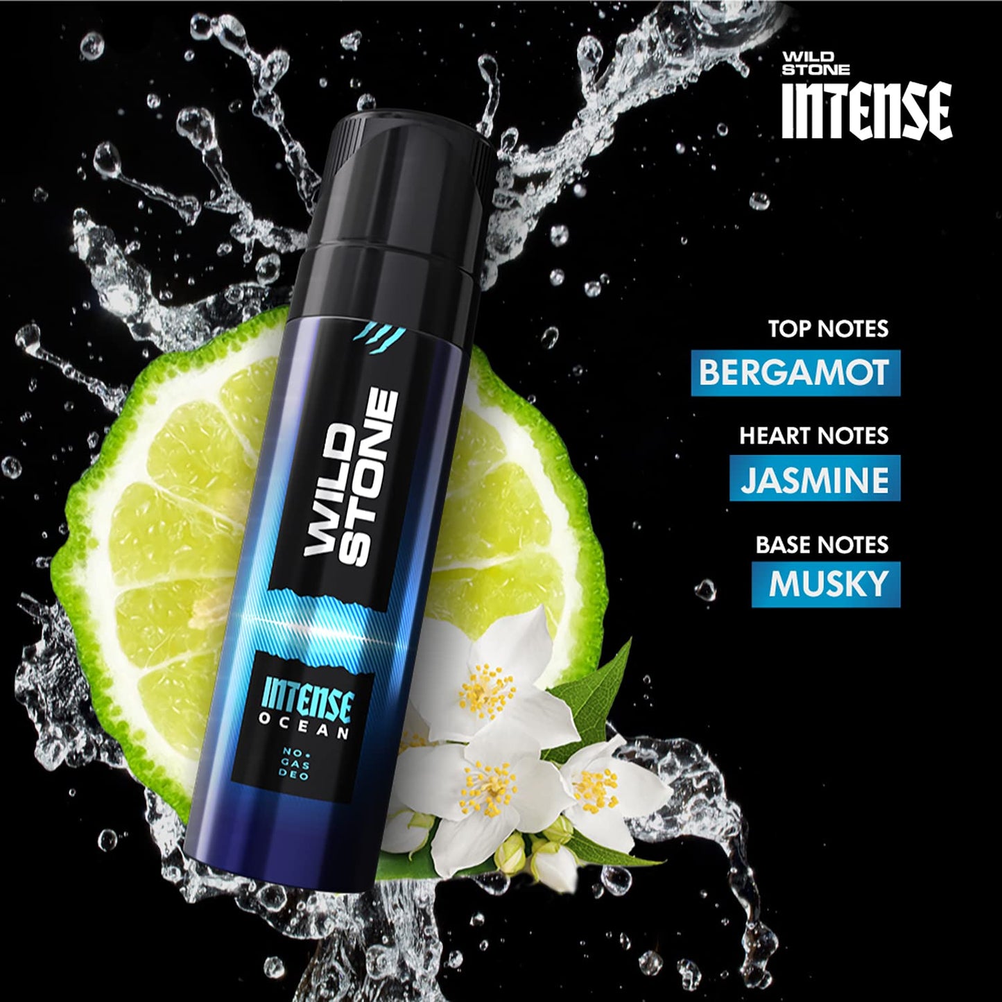 Wild Stone Intense Ocean No Gas Deo, Long Lasting Body Deodorants Spray For Men, Pack Of 2 (120Ml Each)