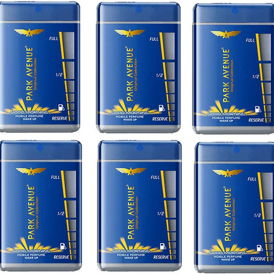 Park Avenue Good Morning pocket perfume combo pack of 6 for men