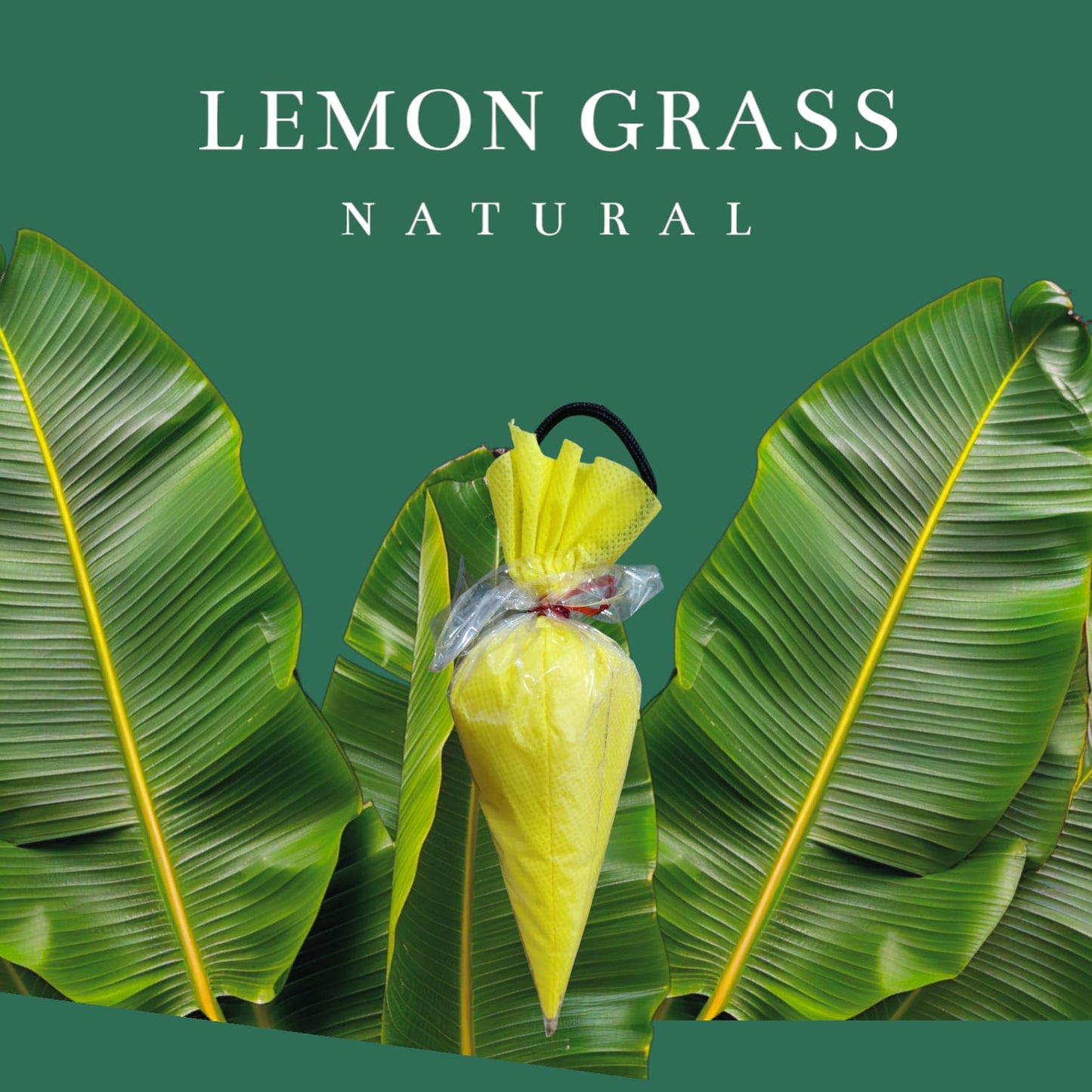 Sacred Roots Lemongrass Camphor Cone Pack of 5 | 60gm Each | Natural Air Freshener for Home, Car, Office & Wardrobe