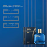 Wild Stone Hero Perfume for Men, 100ml