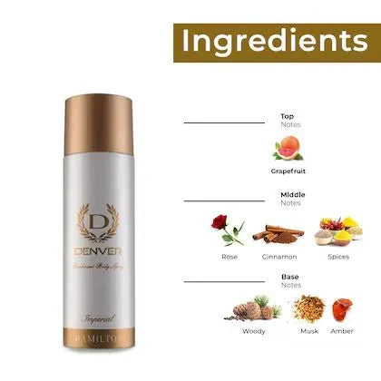 Denver long lasting nano deo combo