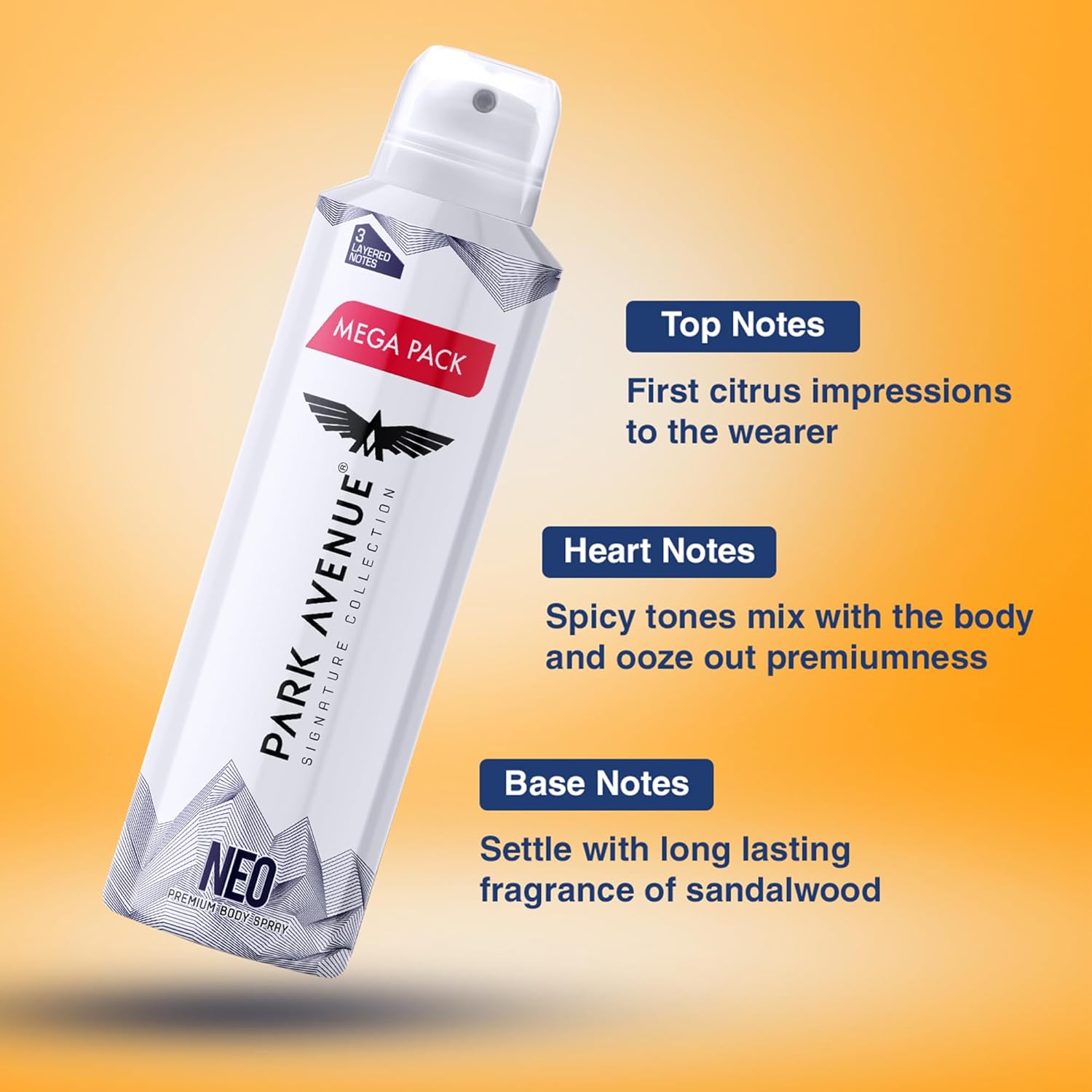 Park Avenue long lasting deo spray for men India