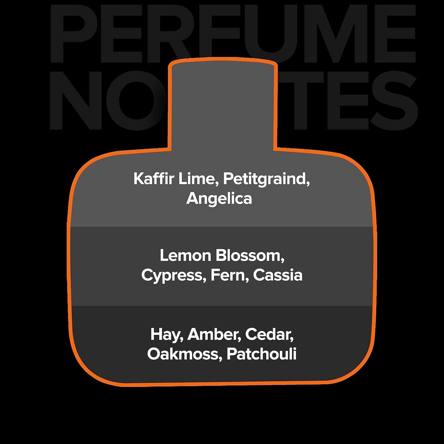 Villain On The Rocks Eau de Parfum for Men | Woody & Citrus Long Lasting Fragrance - 100ml