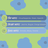 Secret Temptation Deodorant for Women (Romance, 150ml)